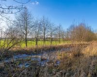 Mit Teich