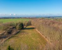 Hauskoppel und Wald