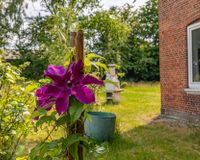 Impressionen