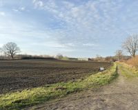 Ackerland mit Weg