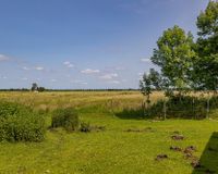 Blick auf Koppel