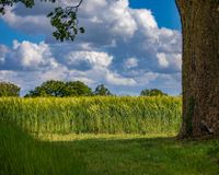 Ausblick
