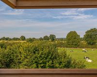 Blick ins Grüne