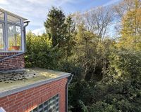 Blick auf den Garten