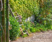 Gartenimpressionen