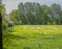 Pachtweide angrenzend