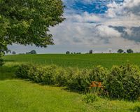 Weitblick