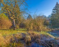 Kleiner Gartenteich