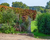 Gartenimpressionen