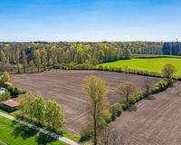 Den Wald vor der Tür
