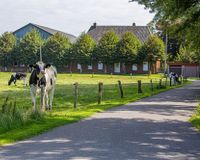 Eigene Zufahrt