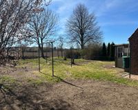 Blick in den Garten