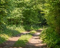 Wandern