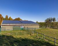 Offenstall und Paddock