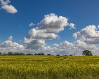 Weitblick