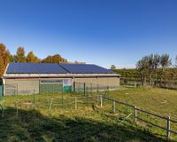 Offenstall und Paddock